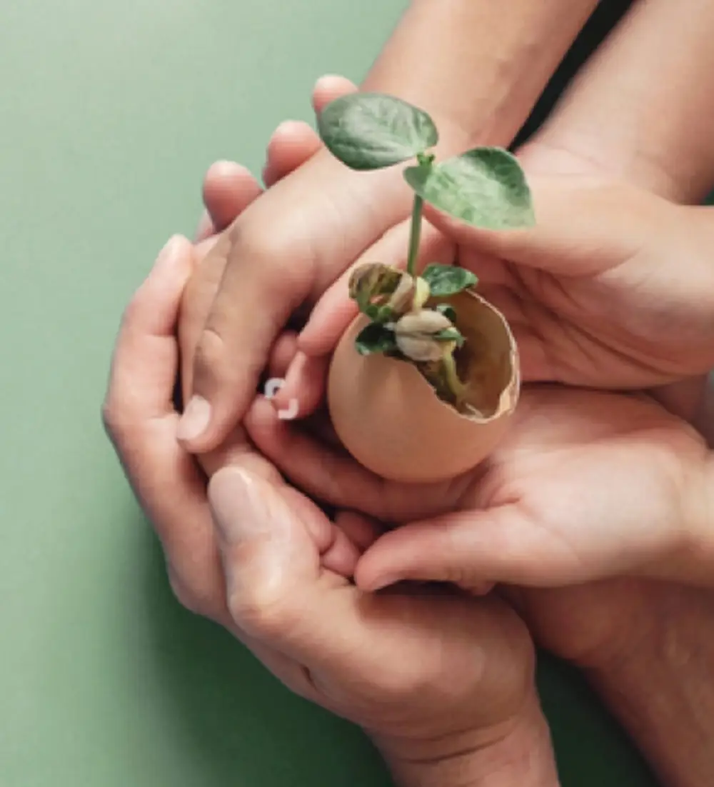 About Fertility Confidential Solution