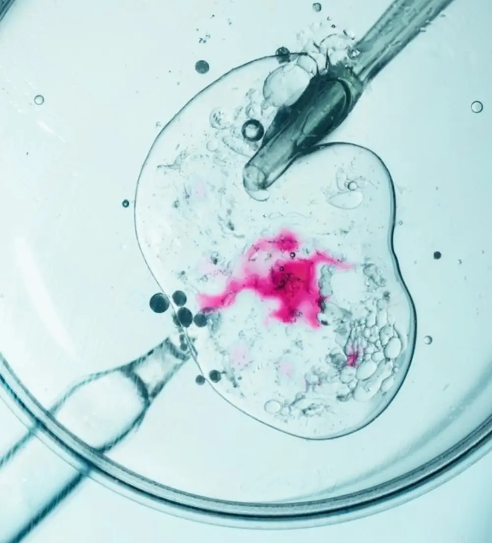About Fertility Confidential Solution